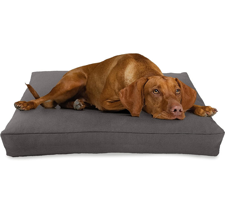 Bean Products Premium Organic Hemp Dog Bed Certipur Fill Removeable Cover Environmentally Friendly Removable Cover